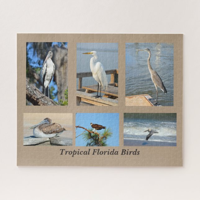 Tropical Birds of Florida Jigsaw Puzzle (Horizontal)