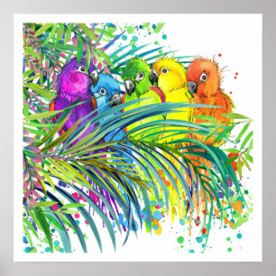Tropical Birds Poster