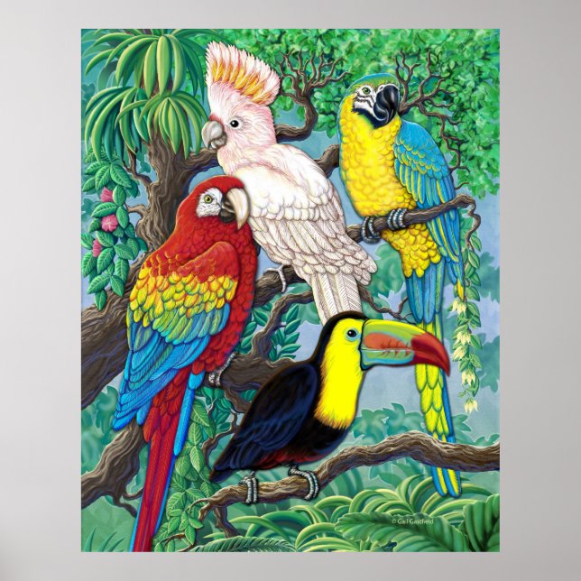 Tropical Birds Poster (Front)