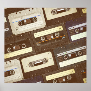 Tropical Birds: Toucans & Parrots Vintage Poster