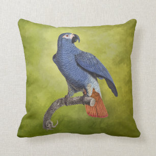 Tropical Birds Vintage Parrot Illustration Cushion
