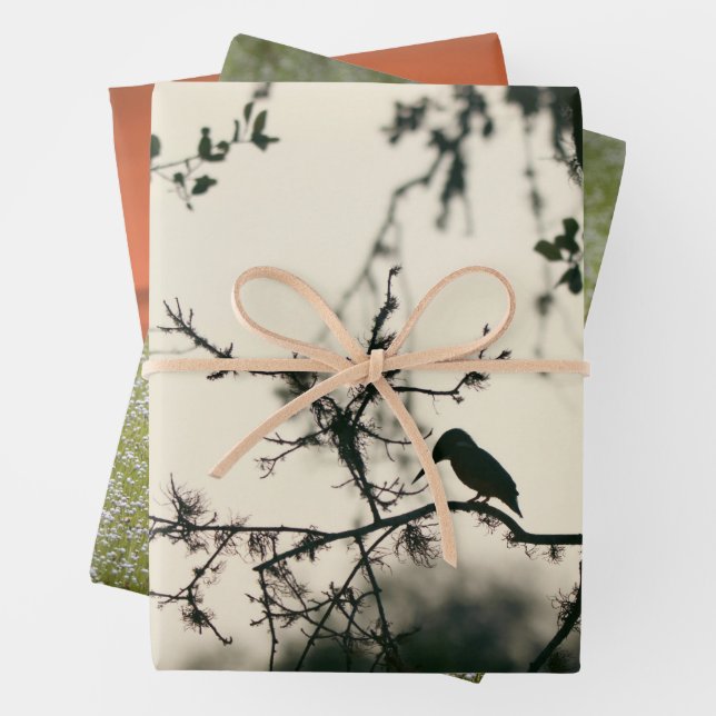 Tropical Birds Wrapping Paper Sheet (In situ)
