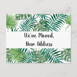 Tropical Black We’ve Moved New Address  Postcard
