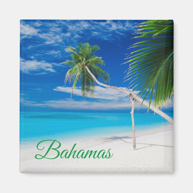 Tropical Blue Exotic Bahamas Beach Palms Magnet (Front)