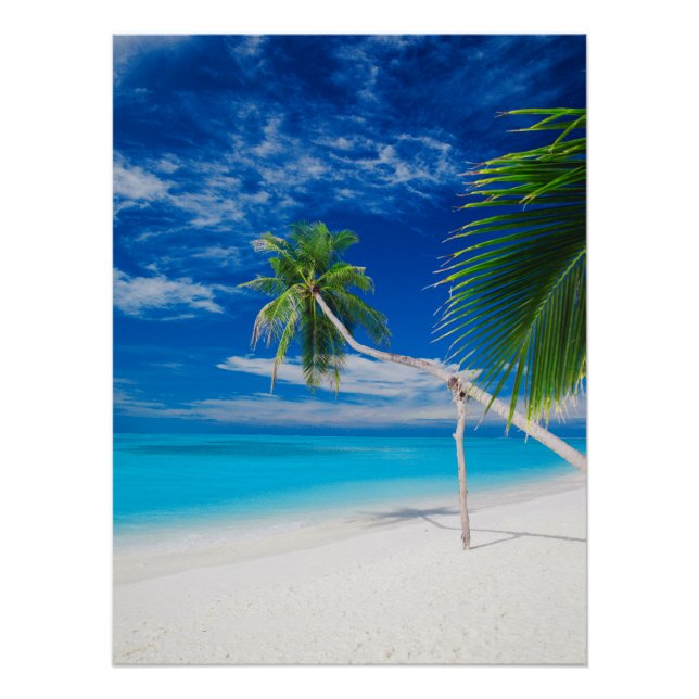 Tropical Blue Exotic Bahamas Beach Palms Poster (Front)