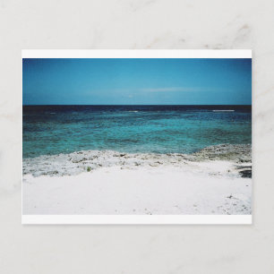 Tropical blue postcard