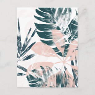 Tropical Blush Postcard