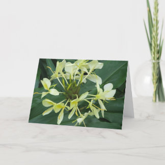 Tropical Botanical Flower Note Card
