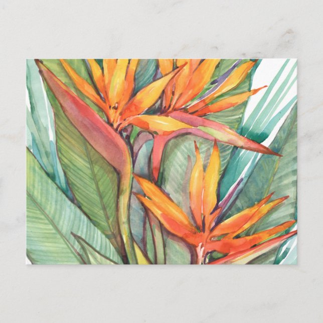 Tropical Botanical Paradise II Postcard (Front)