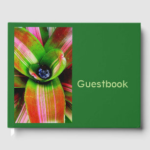 Tropical bromeliad foliage guest book
