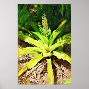 Tropical Bromeliad - walk in the garden Poster