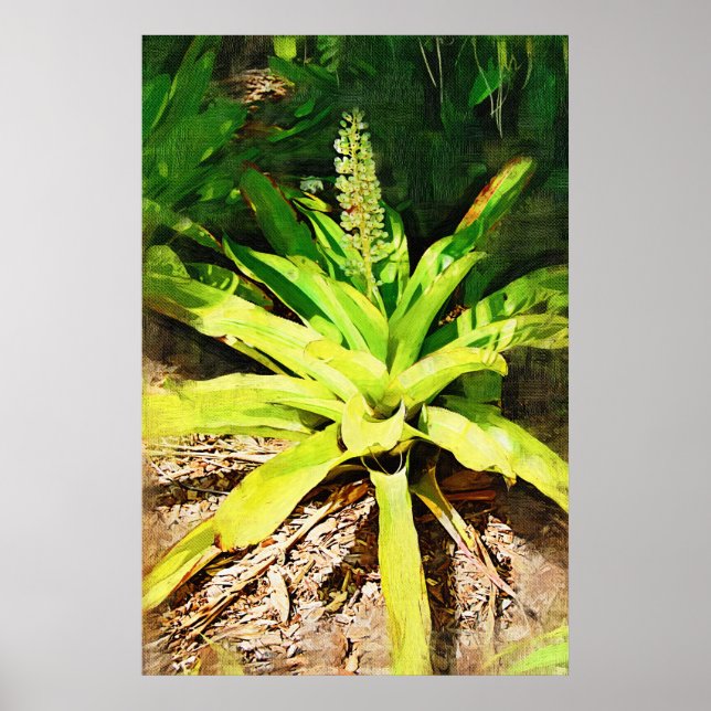 Tropical Bromeliad - walk in the garden Poster (Front)