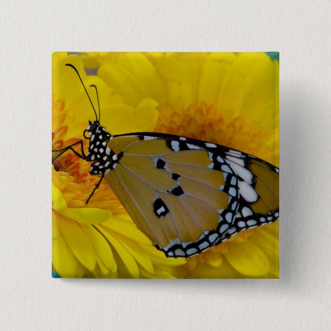 Tropical Butterflies 15 Cm Square Badge (Front)
