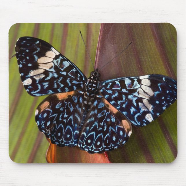 Tropical Butterfly Mouse Mat (Front)