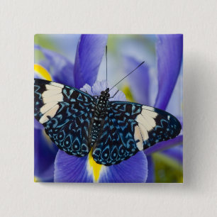 Tropical Butterfly Purple Iris 15 Cm Square Badge