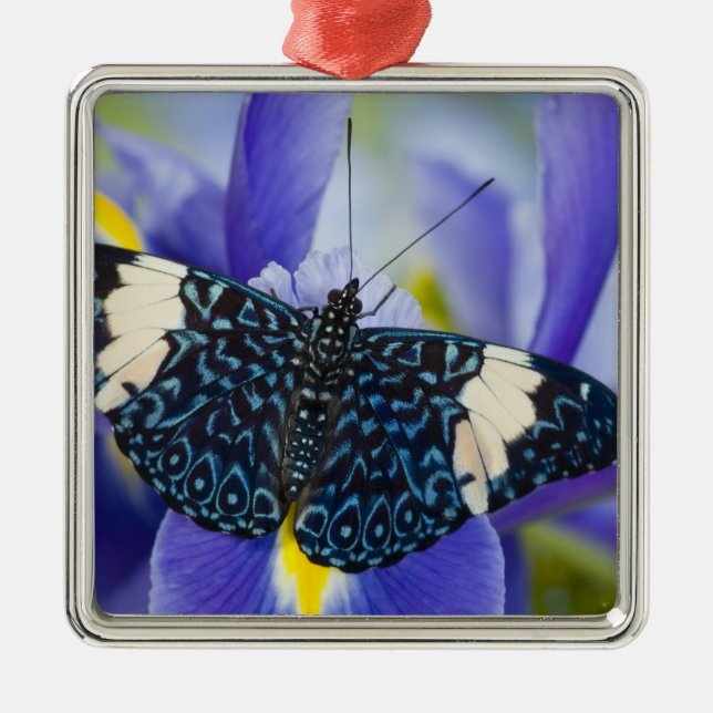 Tropical Butterfly Purple Iris Metal Tree Decoration (Front)
