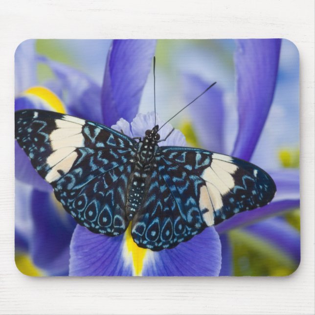 Tropical Butterfly Purple Iris Mouse Mat (Front)