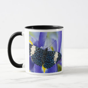 Tropical Butterfly Purple Iris Mug