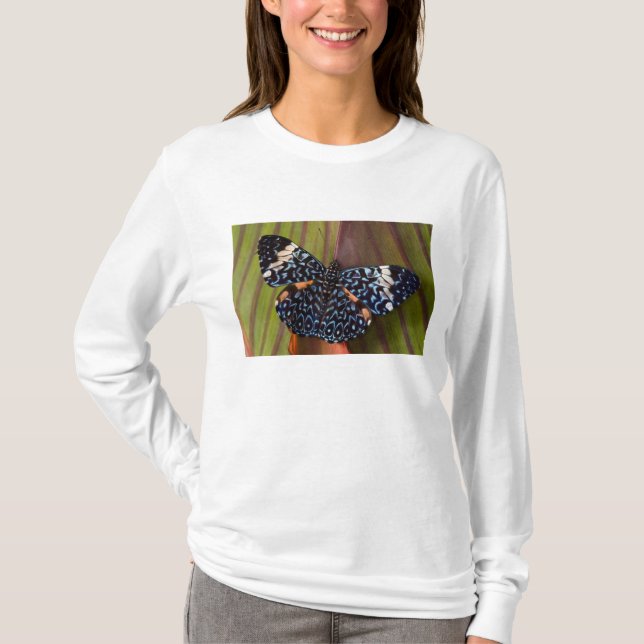 Tropical Butterfly T-Shirt (Front)