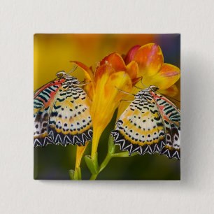 Tropical Butterfly Twins 15 Cm Square Badge