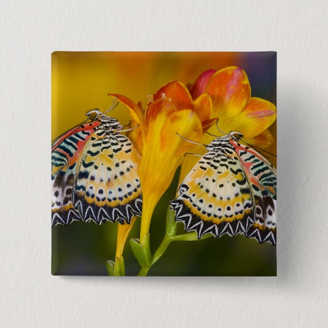 Tropical Butterfly Twins 15 Cm Square Badge (Front)