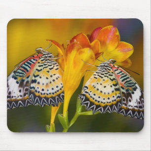 Tropical Butterfly Twins Mouse Mat