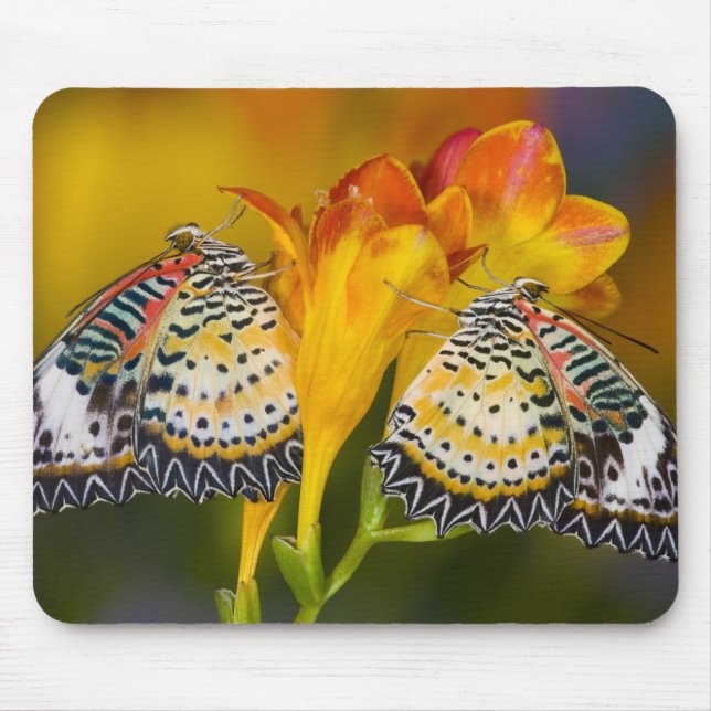 Tropical Butterfly Twins Mouse Mat (Front)