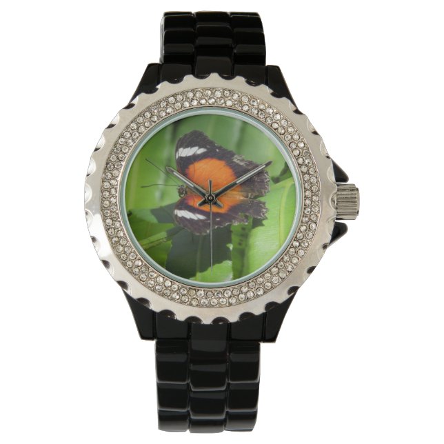 Tropical Butterfly Watch (Front)