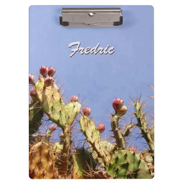 Tropical Cactus against Blue Skies any Text Clipboard (Front)