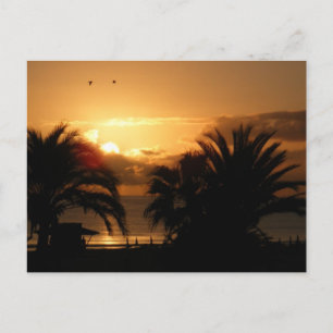 Tropical Canary islands sunrise RIU Postcard