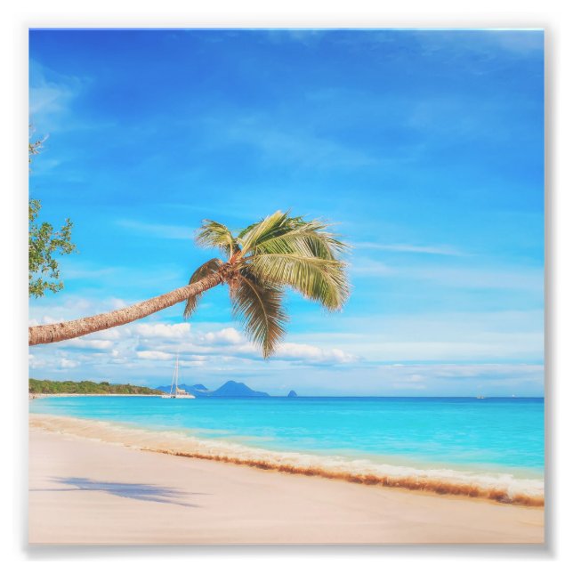 Tropical Caribbean beach Photo Print (Front)