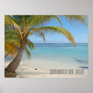 Tropical Caribbean Island Belise Beach and Palms Poster
