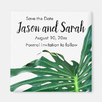 Tropical Caribbean palm leaf, Island design