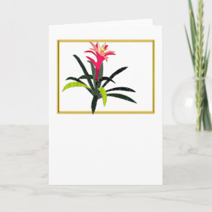 Tropical Christmas Bromeliad Holiday Card