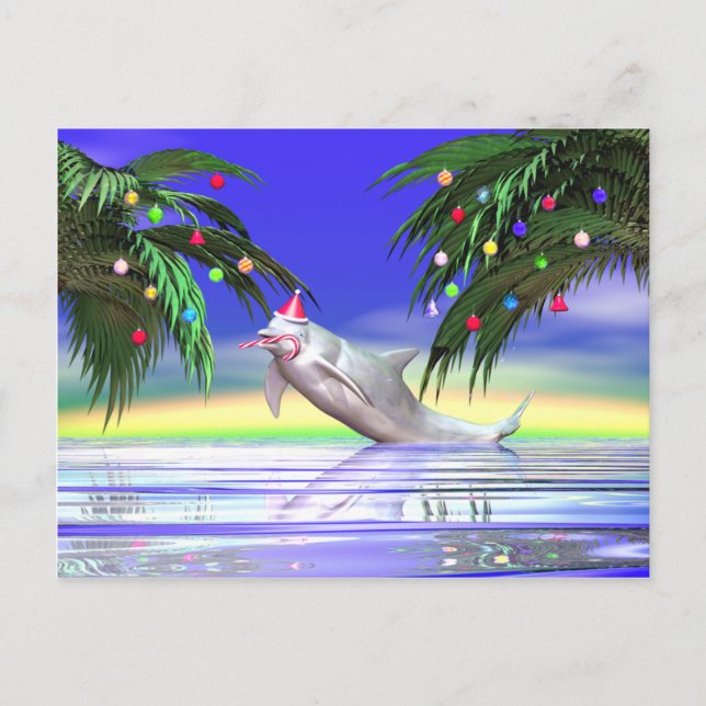 Tropical Christmas Dolphin Holiday Postcard (Front)