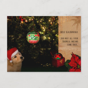 Tropical Christmas Dreams (customisable) Holiday Postcard