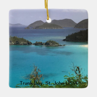 Tropical Christmas Ornament
