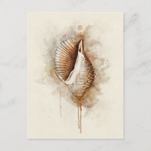 Tropical Coastal Beach Sea Shell Watercolor Postcard