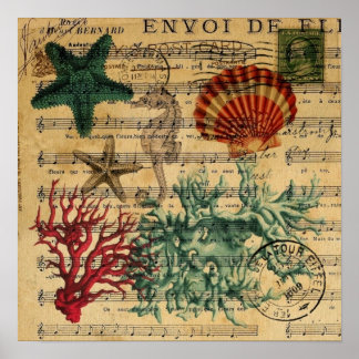 tropical coastal coral seashells seahorse poster