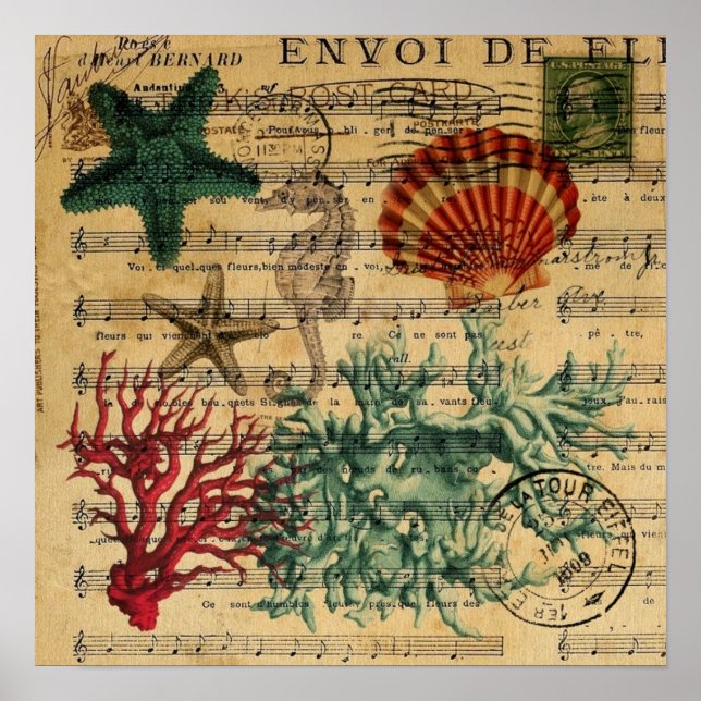 tropical coastal coral seashells seahorse poster (Front)