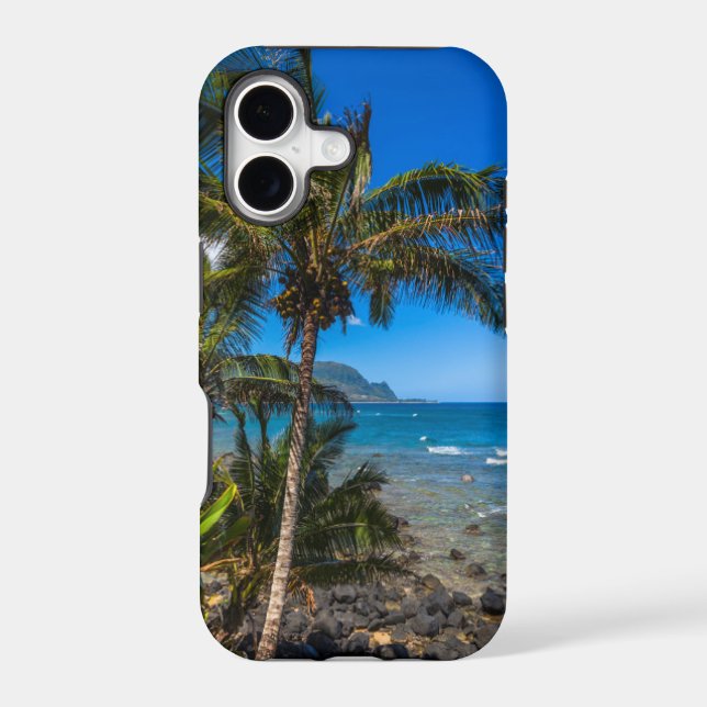 Tropical coastline (Back)