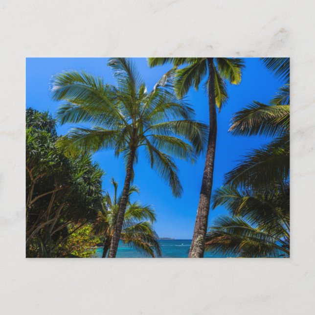 Tropical coastline 2 postcard (Front)