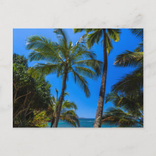 Tropical coastline 2 postcard
