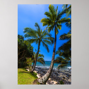 Tropical coastline 2 poster