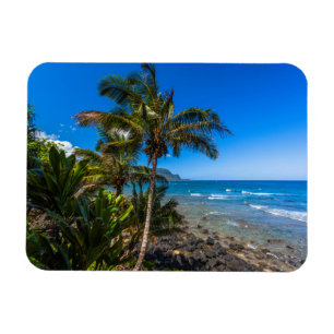 Tropical coastline magnet