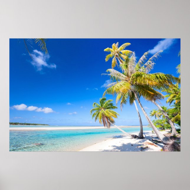 Tropical coastline poster (Front)