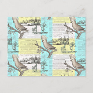 Tropical Cockatoo Dream Postcard