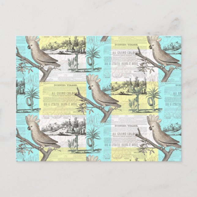 Tropical Cockatoo Dream Postcard (Front)