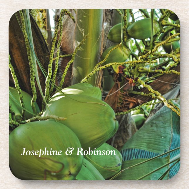 Tropical Coconuts Island Palm Trees Personalize  Coaster (Front)