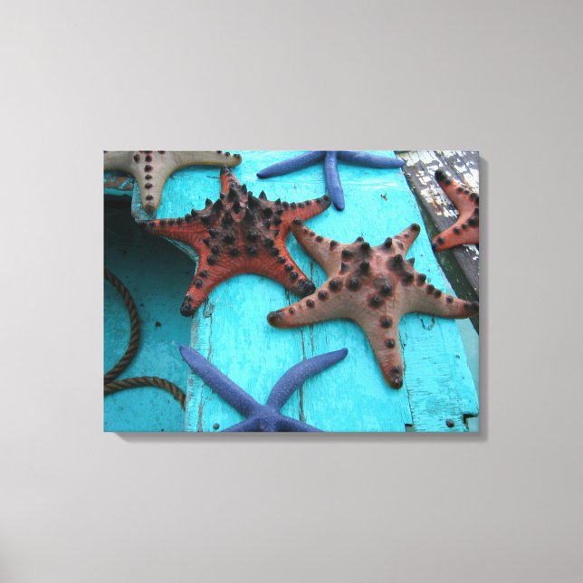 Tropical, colouful starfish canvas print (Front)
